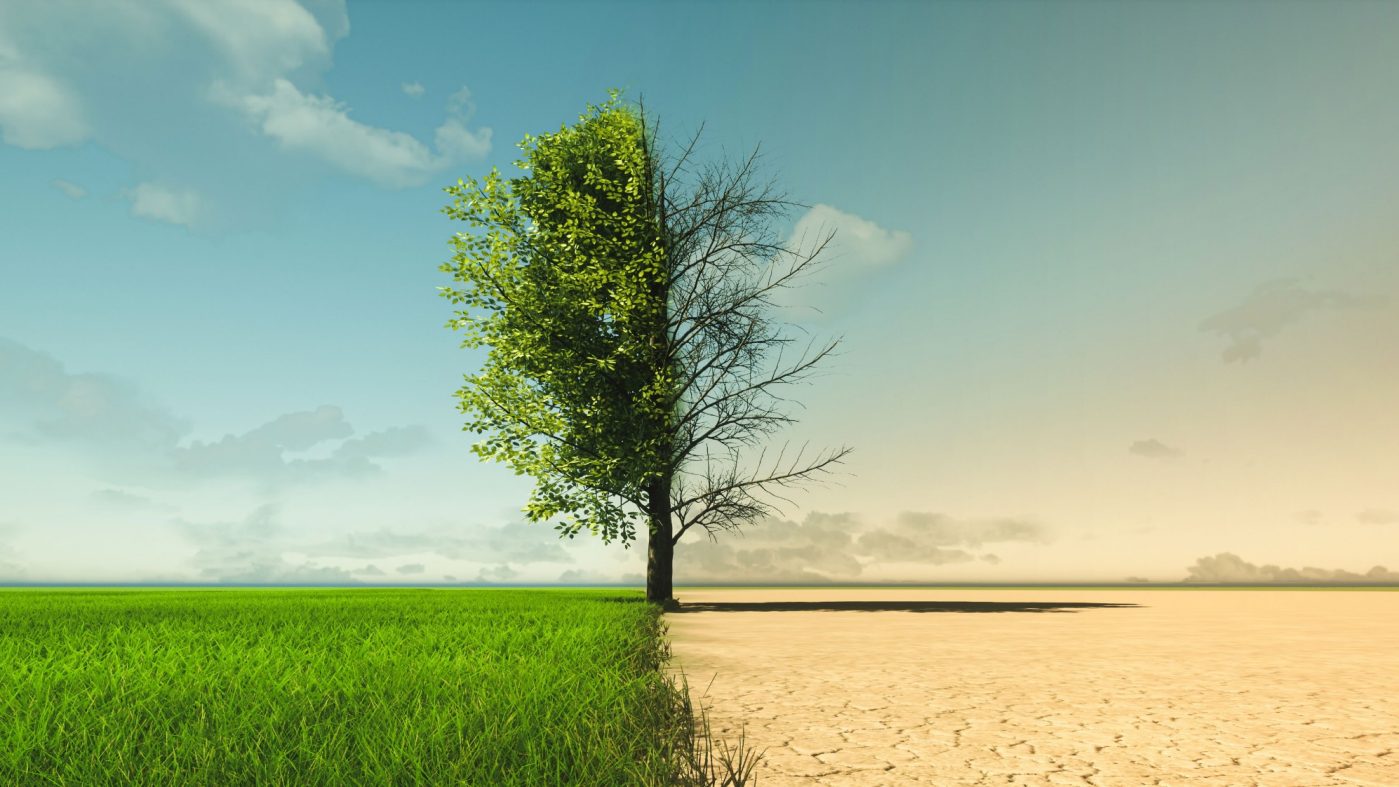 Symbolic image of two landscapes – left verdant, right parched