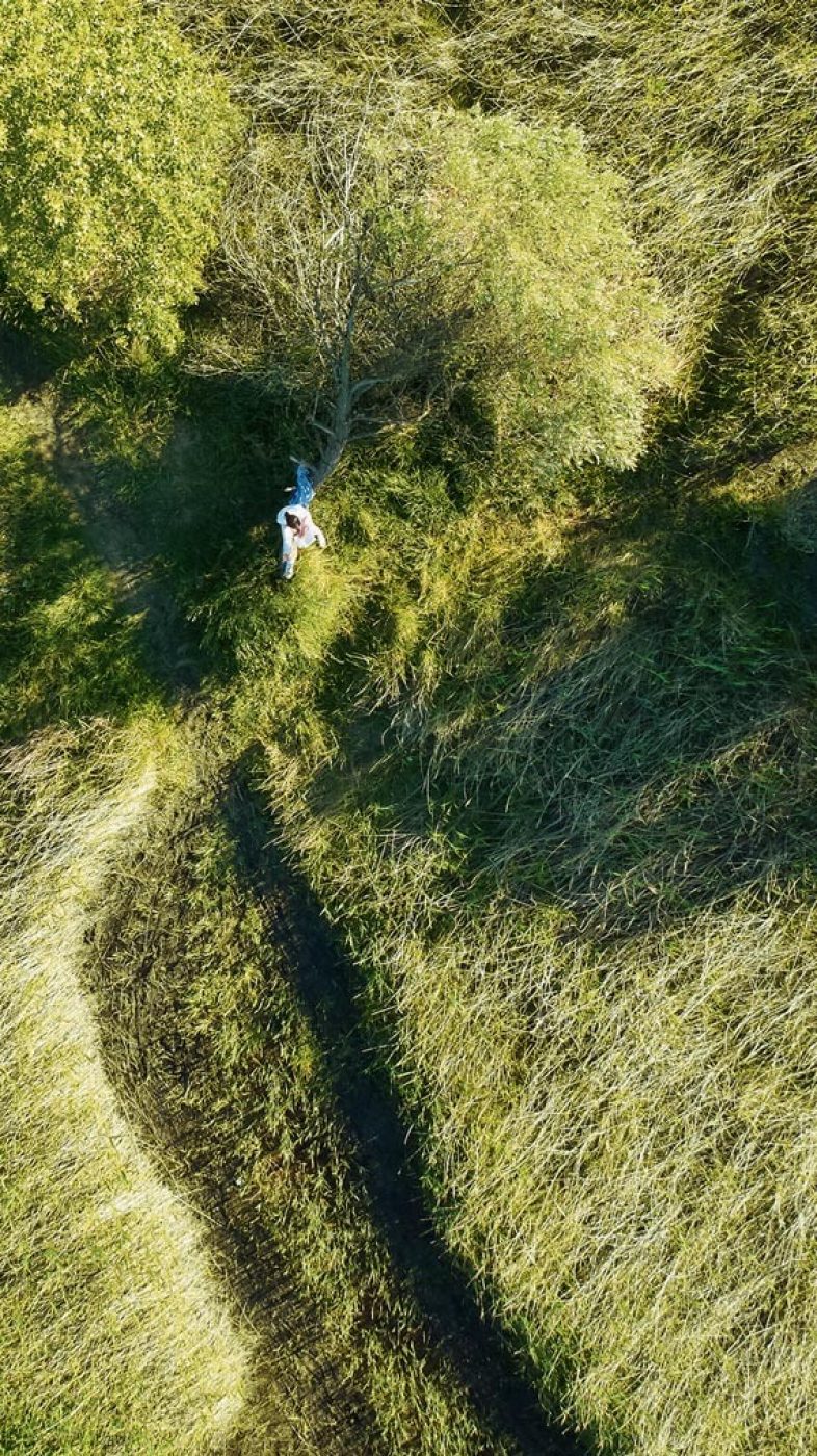 Gras, water, trees, girl